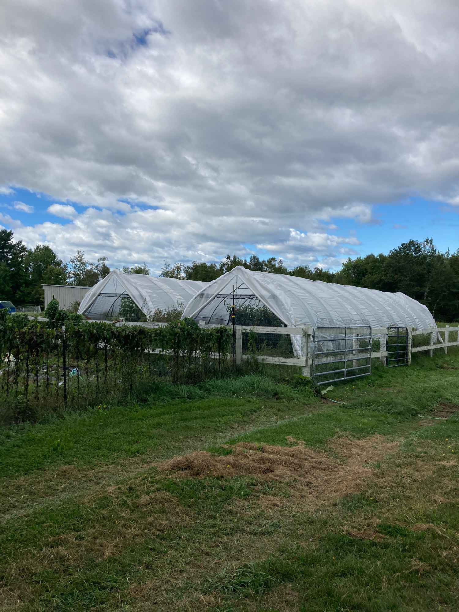 Hoop houses