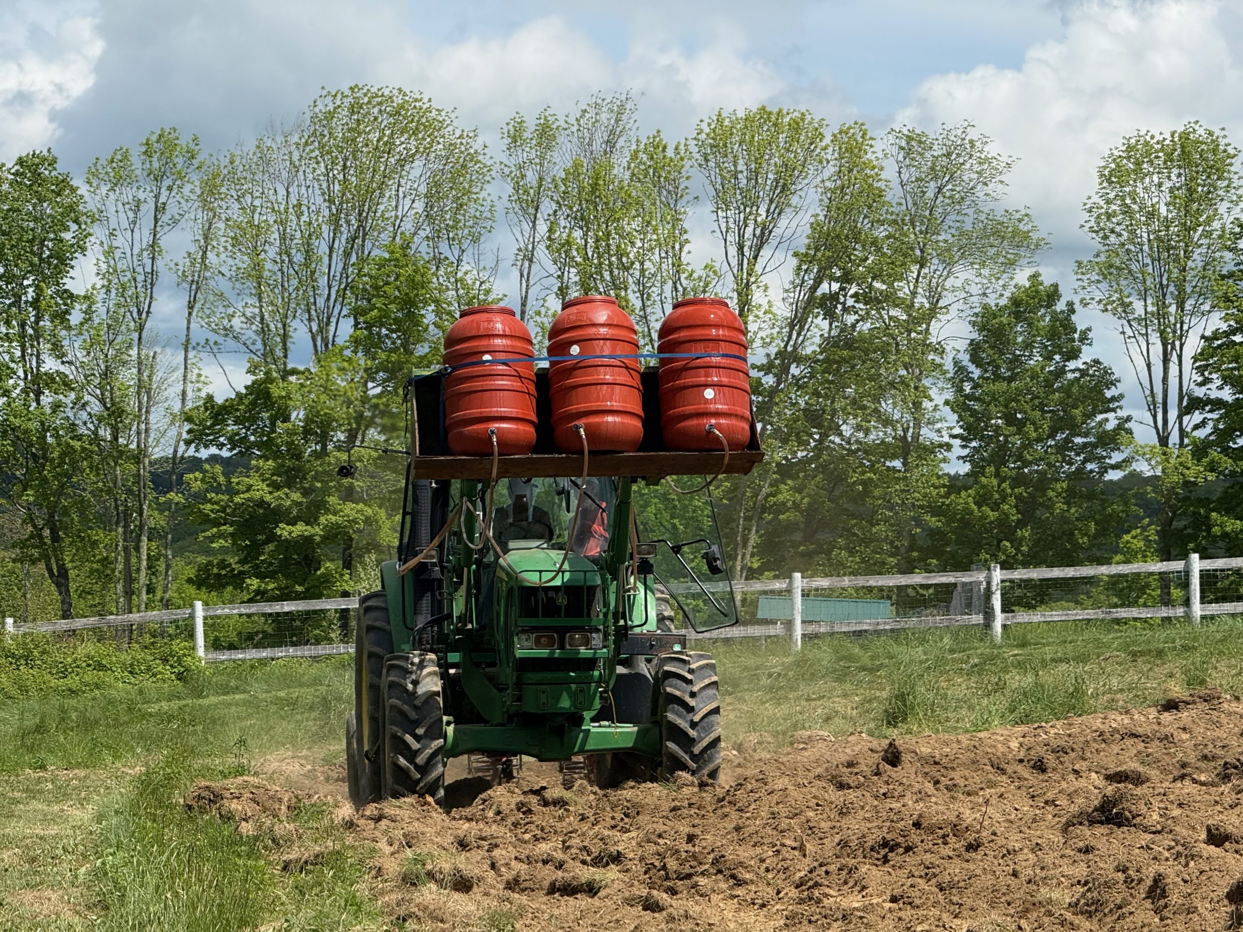 Roseanum Report 2025